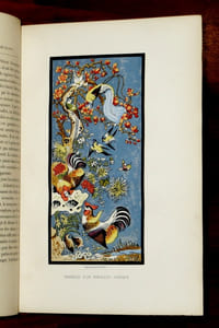 GRAMMAIRE DES ARTS DÉCORATIFS. Décoration intérieure de la maison. [Édition originale]