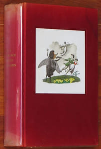 CONTES ET DESSINS. Volume 2 (II) : Contes des frères Sérapion