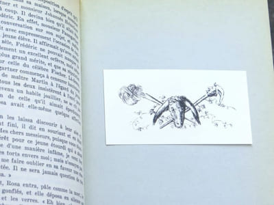 CONTES ET DESSINS. Volume 2 (II) : Contes des frères Sérapion