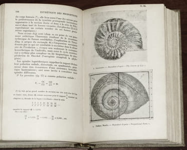 ESTHÉTIQUE DES PROPORTIONS DANS LA NATURE ET LES ARTS.
