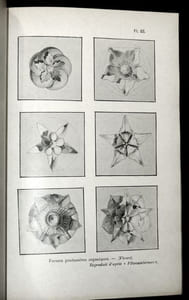 ESTHÉTIQUE DES PROPORTIONS DANS LA NATURE ET LES ARTS.