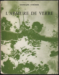 L'ARMURE DE VERRE