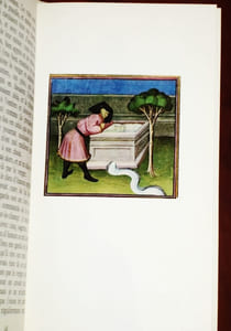 LE ROMAN DE LA ROSE.