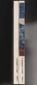 L'IMAGE EN SOUFFRANCE. 2 tomes : I. Coulures - 2. Le Noeud.