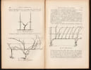 TRAIT&Eacute; D'AGRICULTURE M&Eacute;RIDIONALE. Agriculture g&eacute;n&eacute;rale - Cultures sp&eacute;ciales - Viticulture - Cultures arbustives - &Eacute;tude des animaux - S&eacute;riciculture - ...