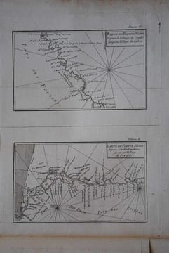 DESCRIPTION DE LA NIGRITIE. . PRUNEAU DE POMMEGORGE.