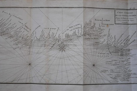 DESCRIPTION DE LA NIGRITIE. . PRUNEAU DE POMMEGORGE.