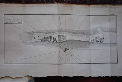 DESCRIPTION DE LA NIGRITIE. 