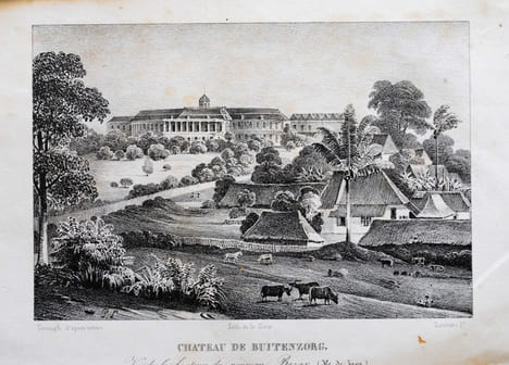 Coup d’œil sur l’île de Java et les autres possessions Néerlandaises dans l’Archipel des indes. . HOGENDORP (COMTE C. S. W. DE).