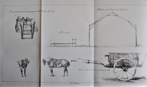 Précis historique et administratif de la Campagne d’Afrique.
