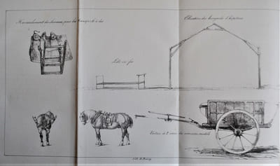 Précis historique et administratif de la Campagne d’Afrique.