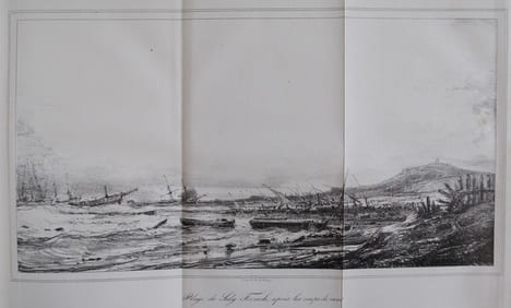 Précis historique et administratif de la Campagne d’Afrique. . DÉNNIÉE (BARON).