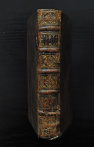 Le Chevalier Bordelois Ou les Aventures du Chevalier Membrot.