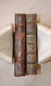 Voyages de Jean OVINGTON, Faits à Surate, & en d’autres lieux de l’Asie & de l’Afrique. Avec l’Histoire de la Révolution du Royaume de Golconde ; & des observations sur les Vers à Soye. Traduit de l’Anglois.