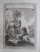 Image de livre