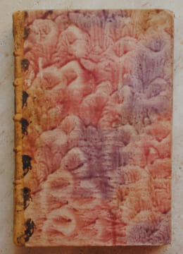 Voyage aux Indes orientales et à la Chine depuis 1774 jusqu'en 1781 : Dans Lequel on Traite Des Mœurs, de la Religion, Des Sciences & Des Arts Des ...