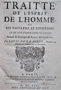 Traité de l’Esprit de l’Homme, de ses facultez et Fonctions, et de son union avec le Corps. Suivant les Principes de René Descartes. 