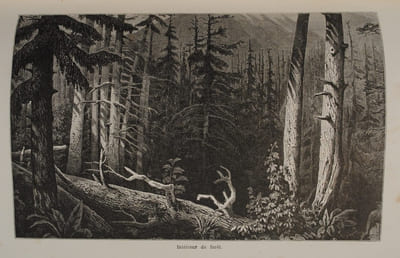 Voyages et Aventures dans l’Alaska (Ancienne Amérique Russe). Ouvrage traduit de l’anglais avec l’autorisation de l’auteur par Émile Jonveaux. Illustré de 37 gravures sur bois et accompagné d’une carte.