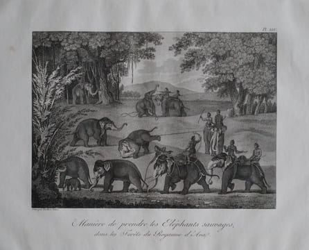 Relation de l’ambassade anglaise, envoyée en 1795 dans le royaume d’Ava, ou l’empire des Birmans. . SYMES MICHAEL.