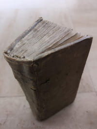 Istoria dell’ultima rivolvuzione delli stati del Gran Mogor, con awenimenti particolari nelle guerre de cinque anni, e racconto delle grandezze dell’Indostan.