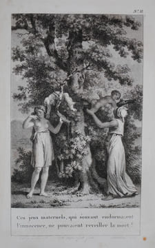 génie du christianisme. chateaubriand