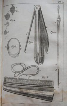 Voyages au Japon, Par le Cap de Bonne-Espérance, les îles de la Sonde, &c. Traduites, rédiges et augmentés de notes considérables sur la religion, le ...