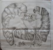 Image de livre