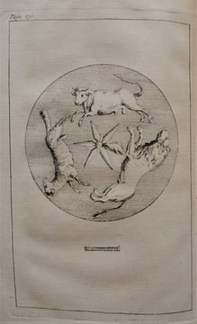 Lettres au R.P. PARRENIN, Jésuite, Missionnaire à Pékin ; contenant diverses questions sur la Chine. Nouvelle édition, Revue, corrigée & augmentée de ...