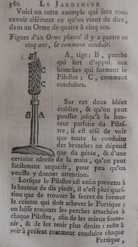 Le jardinier Fleuriste, ou la Culture universelle des Fleurs, Arbres, Arbustes, Arbrisseaux servant à l’embellissement des Jardins. Contenant ...