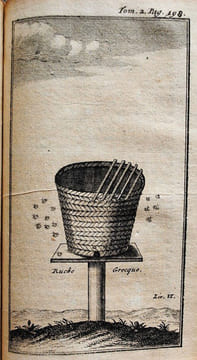 Voyage de Dalmatie, de Grèce et du levant.. WHELER G.