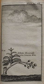 Voyage de Dalmatie, de Grèce et du levant.. WHELER G.