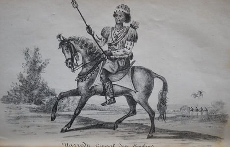Voyage dans le Timanni, le Kouranko et le Soulimana, contées de l’Afrique occidentale, fait en 1822, traduit de l’Anglais par MM. Eyriès et de ...
