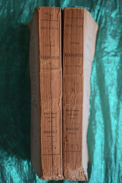 Voyage à Madagascar et aux îles Comores (1823 à 1830), précédé d'une notice historique et géographique sur Madagascar, par M. Eugène de Froberville. ...