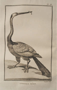 Second voyage dans l’intérieur de l’Afrique, par le cap de Bonne-Espérance, dans les années 1783, 84 et 85.. LEVAILLANT FRANÇOIS.
