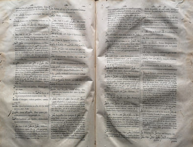 Lexicon Arabico-Latinus, contextum ex probatioribus orientis lexicographis.  Accedit index latinus copiosissimus. 