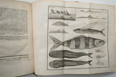 Histoire d'un voyage aux Isles Malouines, fait en 1763 & 1764 ; avec des observations sur le Détroit de Magellan, et sur les Patagons. 