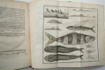 Histoire d'un voyage aux Isles Malouines, fait en 1763 & 1764 ; avec des observations sur le Détroit de Magellan, et sur les Patagons. . PERNETTY ...