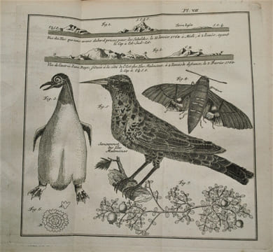 Histoire d'un voyage aux Isles Malouines, fait en 1763 & 1764 ; avec des observations sur le Détroit de Magellan, et sur les Patagons. . PERNETTY ...