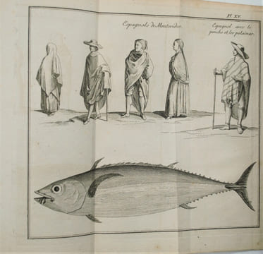 Histoire d'un voyage aux Isles Malouines, fait en 1763 & 1764 ; avec des observations sur le Détroit de Magellan, et sur les Patagons. . PERNETTY ...