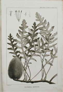 RELATION DU VOYAGE A LA RECHERCHE DE LA PÉROUSE, FAIT PAR ORDRE DE L’ASSEMBLÉE CONSTITUANTE, PENDANT LES ANNÉES 1791, 1792, ET PENDANT LA 1ère ET LA ...