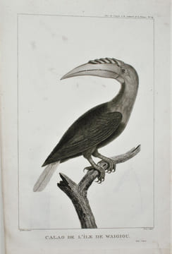 RELATION DU VOYAGE A LA RECHERCHE DE LA PÉROUSE, FAIT PAR ORDRE DE L’ASSEMBLÉE CONSTITUANTE, PENDANT LES ANNÉES 1791, 1792, ET PENDANT LA 1ère ET LA ...