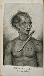 Relation des îles Pelew, situées dans la partie occidentale de l'océan pacifique; composée sur les journaux et les communications du capitaine Henri Wilson, et de quelques-uns de ses officiers [...]. Traduit de…
