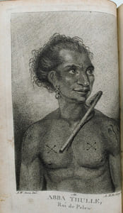 Relation des iles Pelew, situees dans la partie occidentale de l'ocean pacifique, composee sur les Journeaux et les communications du Capitaine Henri Wilson et de quelques-uns de ses Officiers, qui, en aout 1783, y ont fait naufrage sur l'Antelope, paquebot de la Compagnie des Indes orientales. 