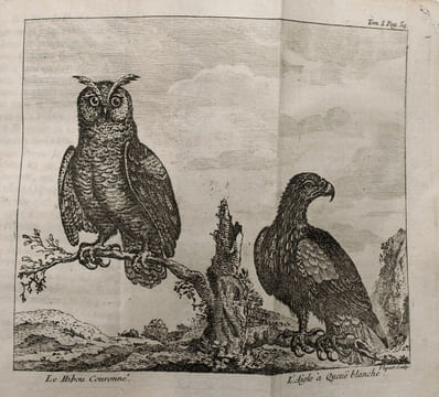 Voyage de la baye de Hudson. Fait en 1746 & 1747, pour la découverte du passage de Nord-Ouest.
. ELLIS , Henry