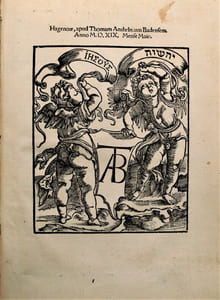 Scaenica progymnasmata, hoc estludicra praeexercitamenta, cum explanatione Jacobi spegel Selestani Caes. Secret 