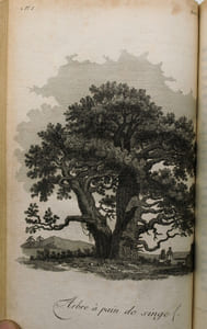 Voyage dans l'intérieur de la Chine et en Tartarie, fait dans les années 1792, 1793 et 1794, par Lord Macartney, ambassadeur du roi d'Angleterre auprès du roi de la Chine.