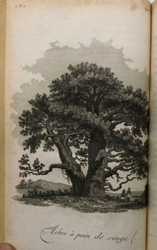 Voyage dans l'intérieur de la Chine et en Tartarie, fait dans les années 1792, 1793 et 1794, par Lord Macartney, ambassadeur du roi d'Angleterre ...