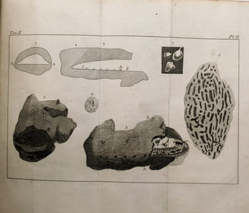 Voyage au cap de Bonne-Espérance, et autour du monde avec le capitaine Cook, et principalement dans le pays des Hottentots et des Caffres. 