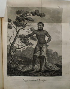 Voyage à la côte occidentale d'Afrique, fait dans les années 1786 et 1787 contenant la description des moeurs, usages, lois, gouvernement et commerce des états du Congo, fréquentés par les
Européens, et un précis de la traite des Noirs, ainsi qu'elle avait lieu avant la Révolution
Française ; suivi d'un voyage fait au Cap de Bonne-Espérance, contenant la description militaire
de cette colonie. 
