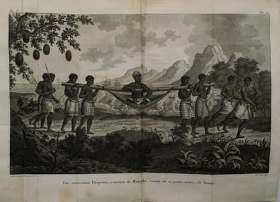 Voyage à la côte occidentale d'Afrique, fait dans les années 1786 et 1787 contenant la description des moeurs, usages, lois, gouvernement et commerce des états du Congo, fréquentés par les
Européens, et un précis de la traite des Noirs, ainsi qu'elle avait lieu avant la Révolution
Française ; suivi d'un voyage fait au Cap de Bonne-Espérance, contenant la description militaire
de cette colonie. 